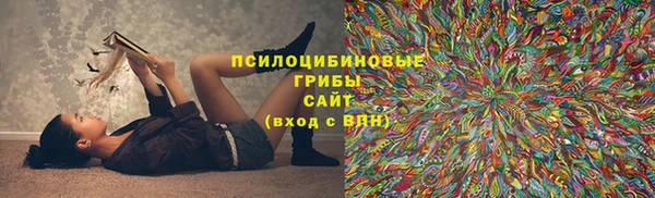 мяу мяу мука Арсеньев