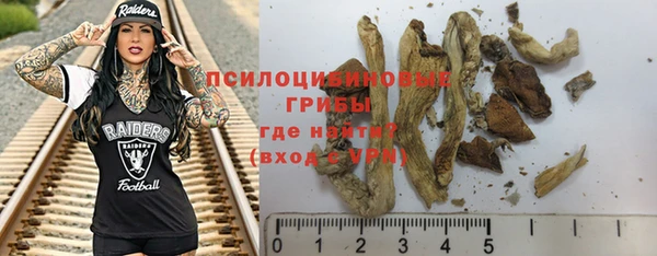 мяу мяу мука Арсеньев