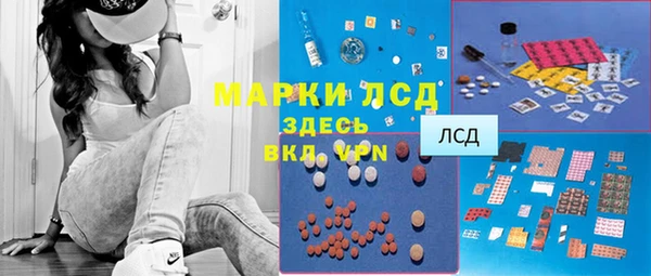 мяу мяу мука Арсеньев