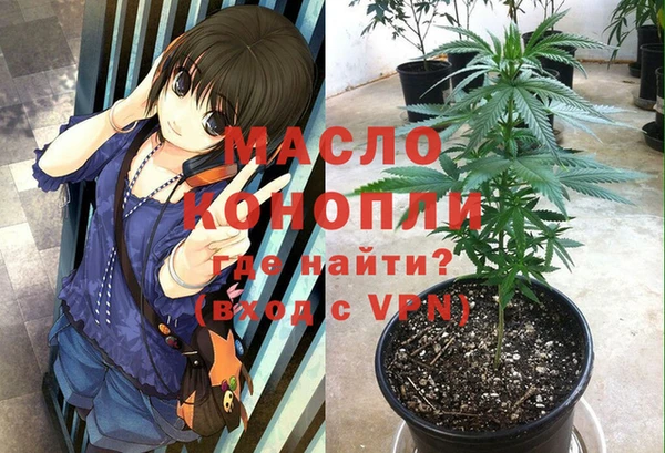 дмт Аркадак